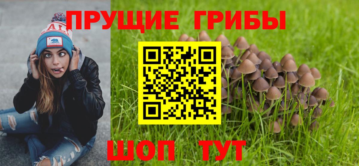 Псилоцибиновые грибы прущие грибы  Галлюциногенные грибы Magic Shrooms  Белогорск  Вход с VPN 