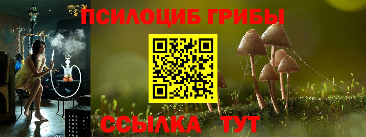 Псилоцибиновые грибы Psilocybine cubensis Белогорск